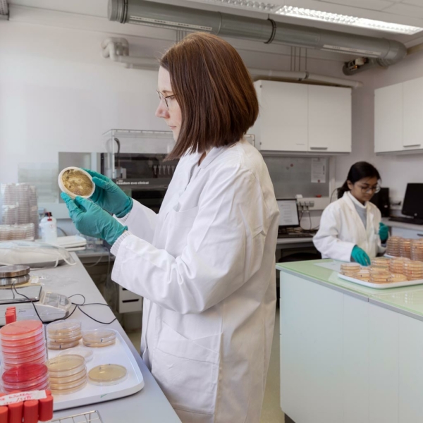 dil-ev-postcard-institut dil-ev-postcard-institut