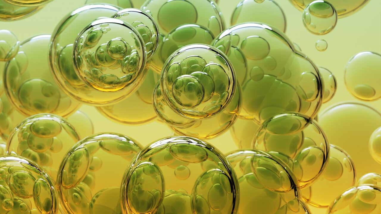 dil-ev-forschung-mikrostrukturen-emulsionen-biotechnologie dil-ev-forschung-mikrostrukturen-emulsionen-biotechnologie