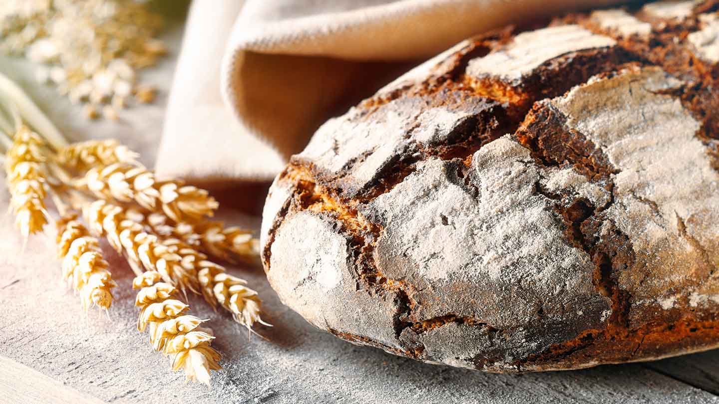 Food Solutions – EcoBite Delights