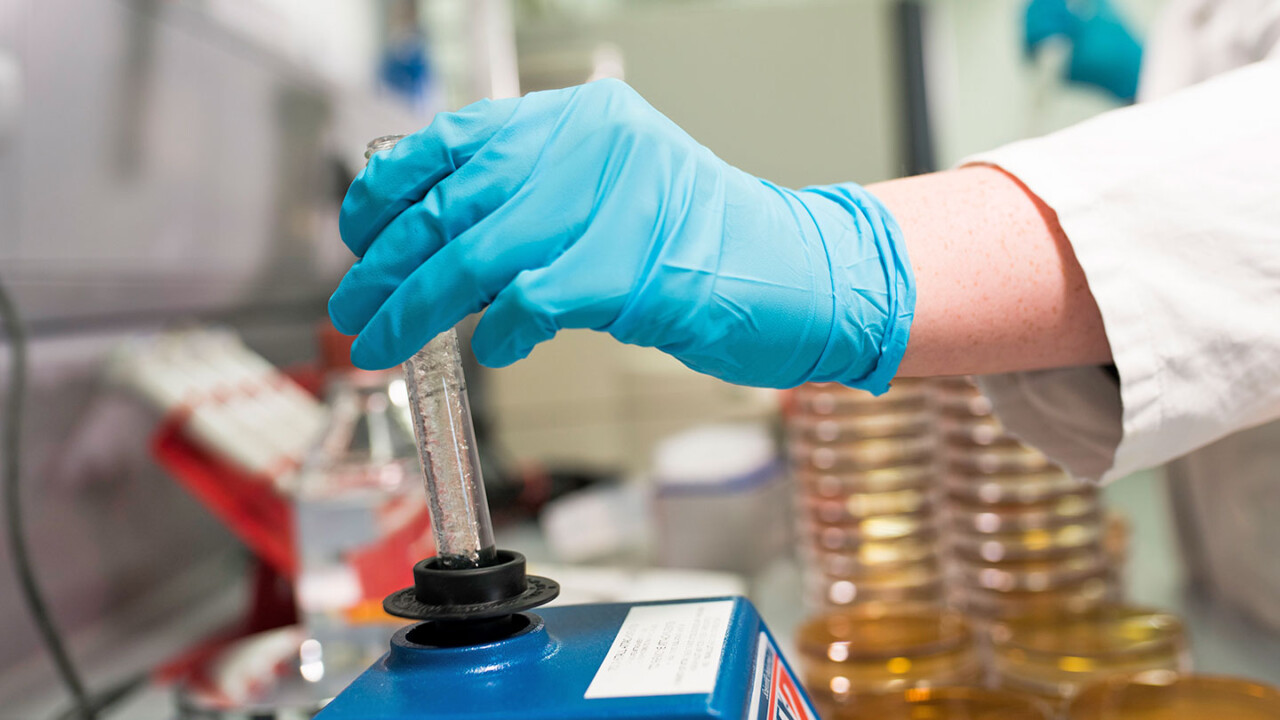 Eine Hand mit blauem Schutzhandschuh hält ein Probenröhrchen und setzt es in ein Laborgerät zur Durchmischung bzw. Homogenisierung ein. Im Hintergrund sind gestapelte Petrischalen zu sehen. Die Szene zeigt die Probenvorbereitung für mikrobiologische und biotechnologische Analysen im Labor.