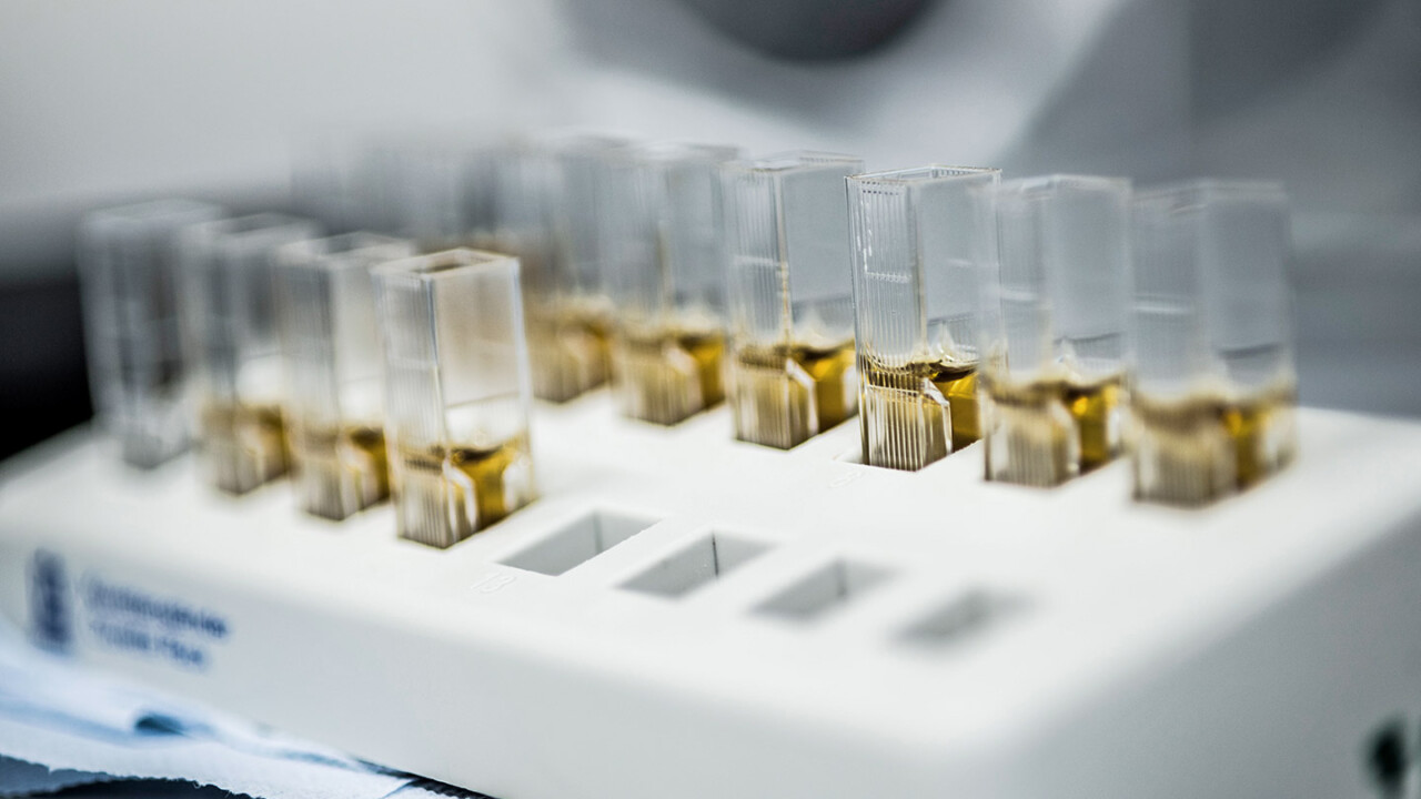 Nahaufnahme eines Laborträgers mit mehreren transparenten Küvetten, die mit gelblich-braunen Flüssigkeitsproben befüllt sind. Die Aufnahme zeigt die Vorbereitung und Bereitstellung von Messküvetten für photometrische oder spektroskopische Analysen im Rahmen biotechnologischer Laboruntersuchungen und Qualitätskontrollen.