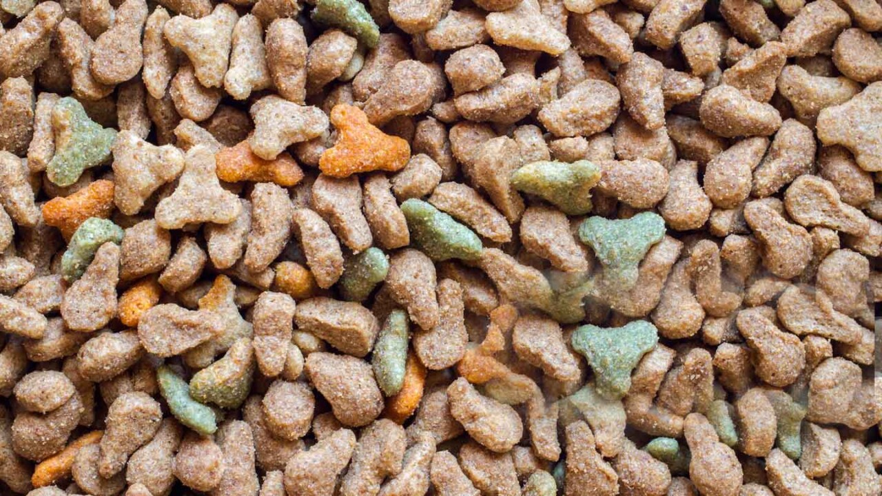 dil-ev-auftragsforschung-petfood-und-futtermitteltechnologie