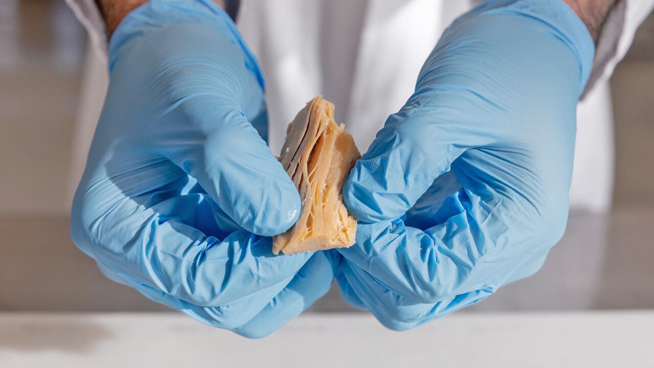 Nahaufnahme von behandschuhten Händen, die ein Lebensmittelstück auseinanderziehen und die faserige bzw. schichtartige Struktur sichtbar machen. Das Bild steht für sensorische und physikalische Texturanalyse, Struktur-Funktionalität, Qualitätskontrolle und Verfahrenstechnik in der Lebensmittelverarbeitung – etwa zur Bewertung von Verarbeitungseinflüssen auf Konsistenz und Produktqualität.