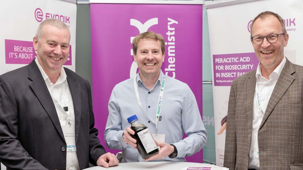Drei Teilnehmende stehen lächelnd an einem Messestand auf dem Insects Plus Kongress. Im Hintergrund sind Roll-ups von Evonik und Chemistry zu sehen, darunter ein Hinweis auf „Peracetic acid for biosecurity in insect farming“. Eine Person hält eine Produktflasche in der Hand. Das Bild zeigt Networking und Fachdialog zu Hygiene-, Biosecurity- und Prozesslösungen für die Insektenproduktion.