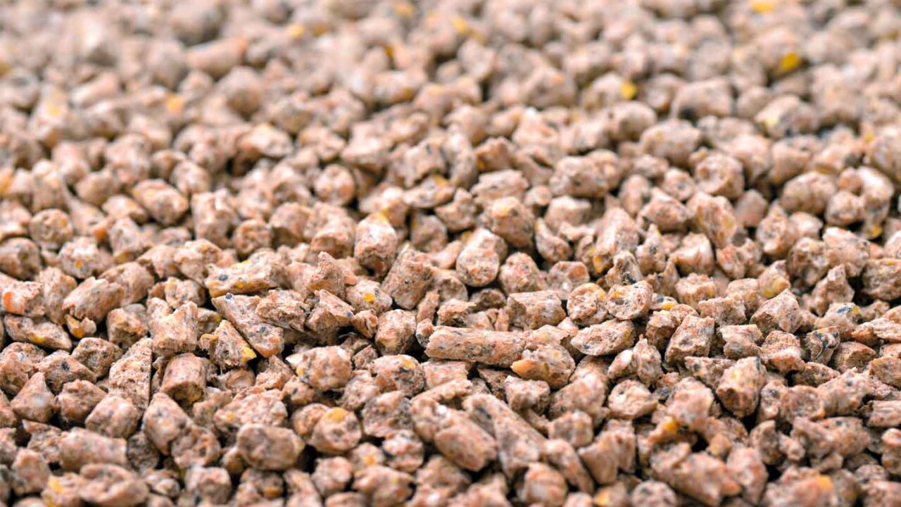 dil-ev-weiterbildung-herstellung-von-mischuftter