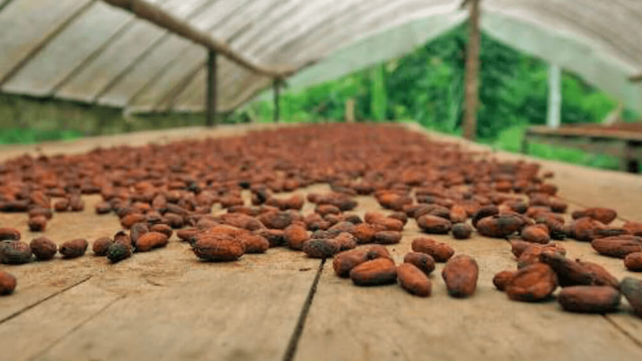 dil-ev-news-Inaktivierung-getrockneter-hitzetoleranter-Salmonellen-in-der-Schokoladenproduktion